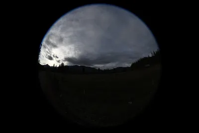 DSC_0049 (Large).JPG